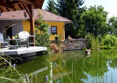 grand_bassin_dorr_avec_terrasse