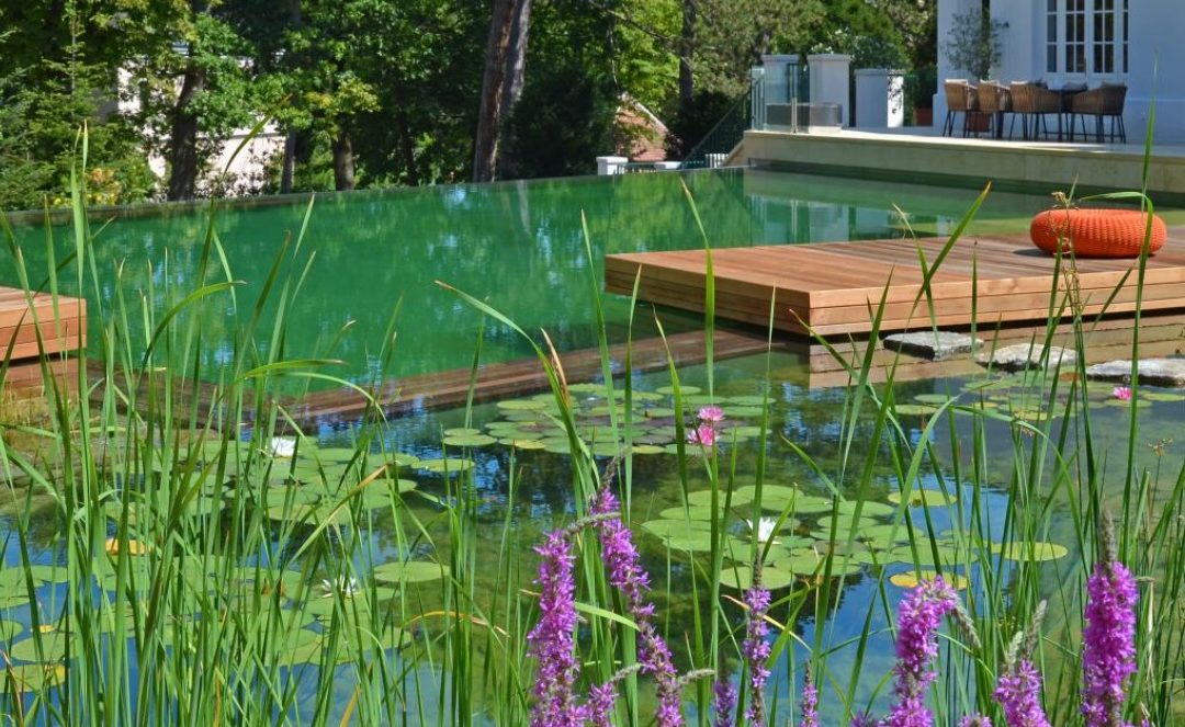 Bassin de baignade : de quoi il s’agit ?