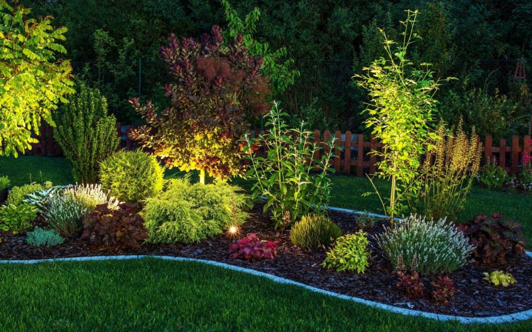 Nos conseils pour un bon éclairage de jardin