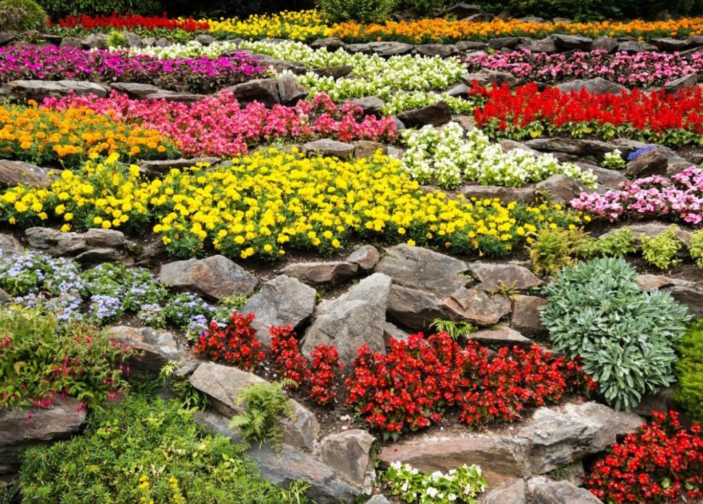 jardin de rocaille fourni