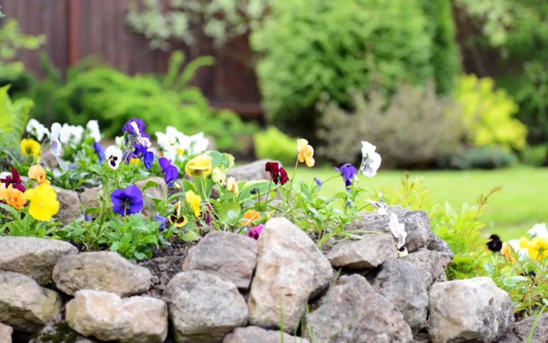 jardin rocaille