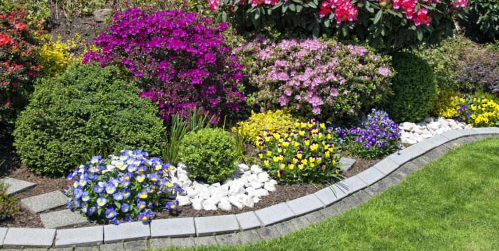 jolie parterre de fleurs