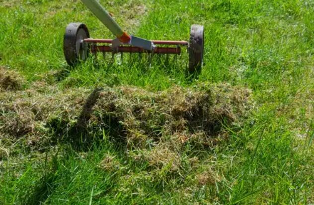 Que faire après avoir scarifier sa pelouse ?