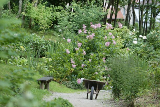 Paysagiste Sarreguemines et jardin