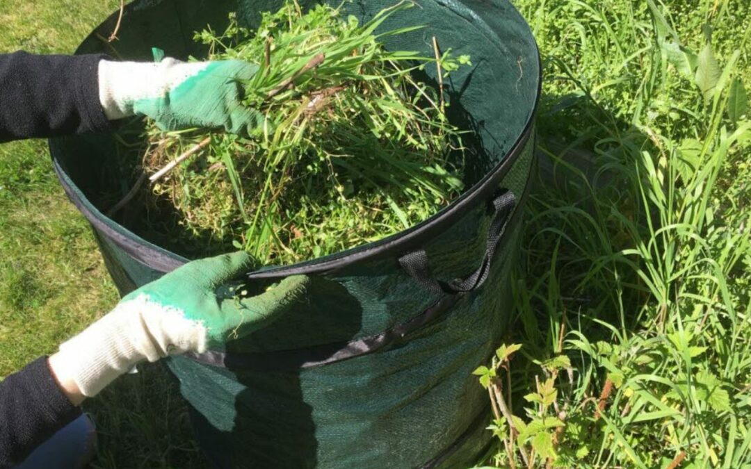Enlèvement déchets verts à domicile : comment ça fonctionne ?