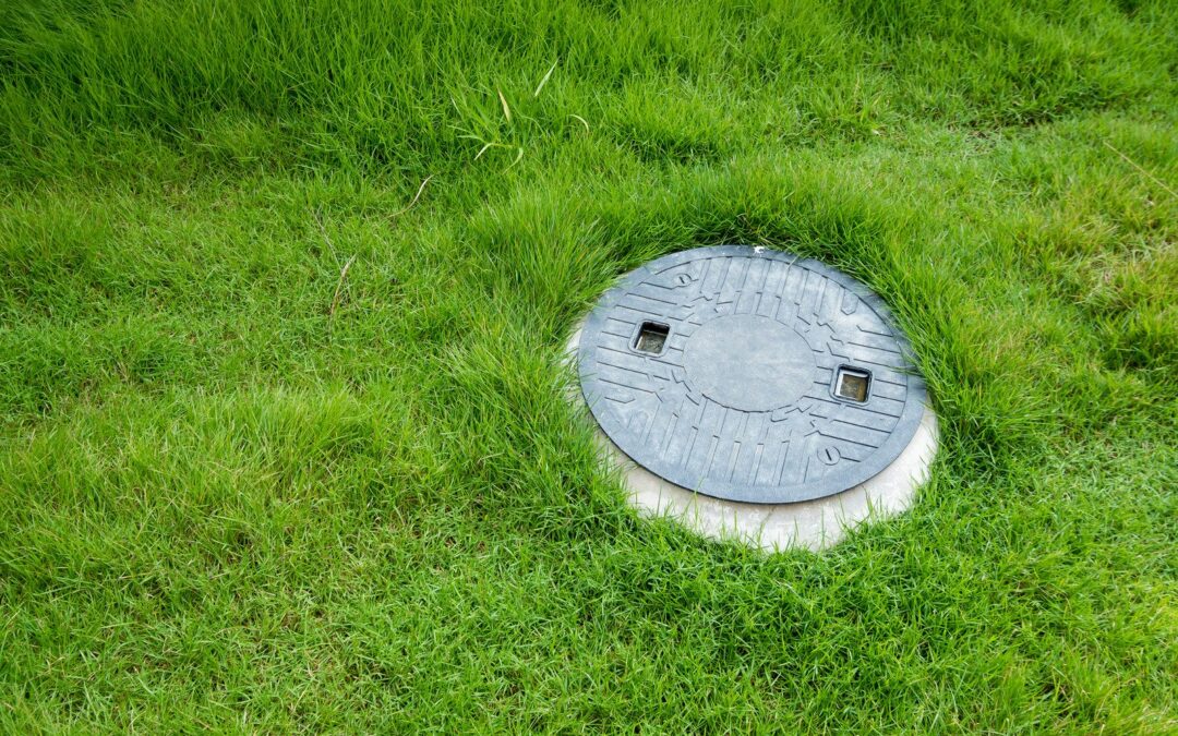 Comment créer un massif pour cacher une fosse septique et embellir votre jardin