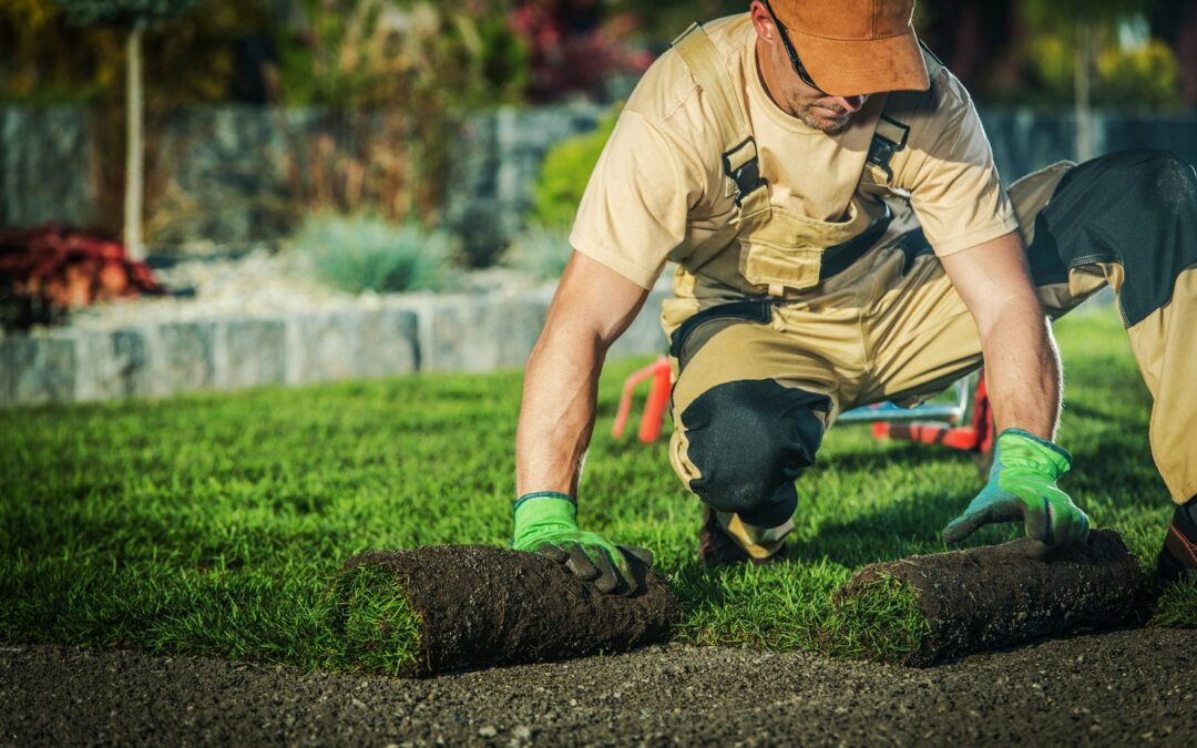 Paysagistes en Lorraine : Aménagements verts et conception de jardins