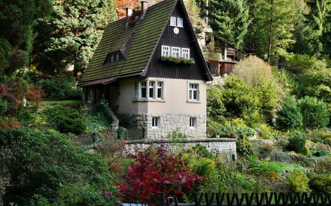 Aménagement de jardin en pente forte : Solutions et astuces