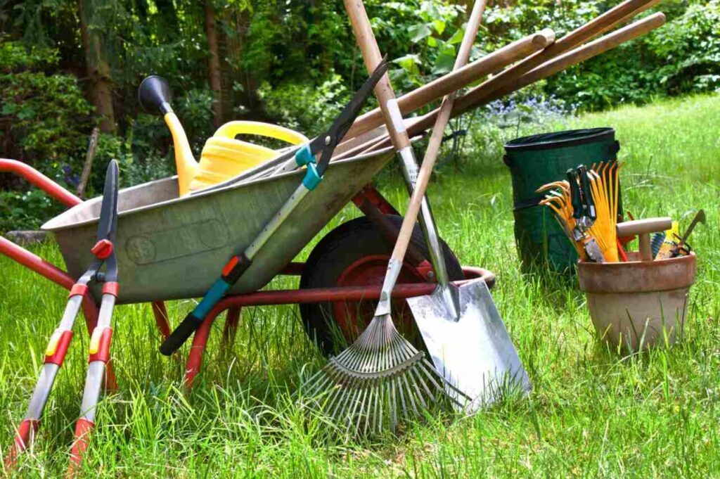 entretenir un jardin a nancy