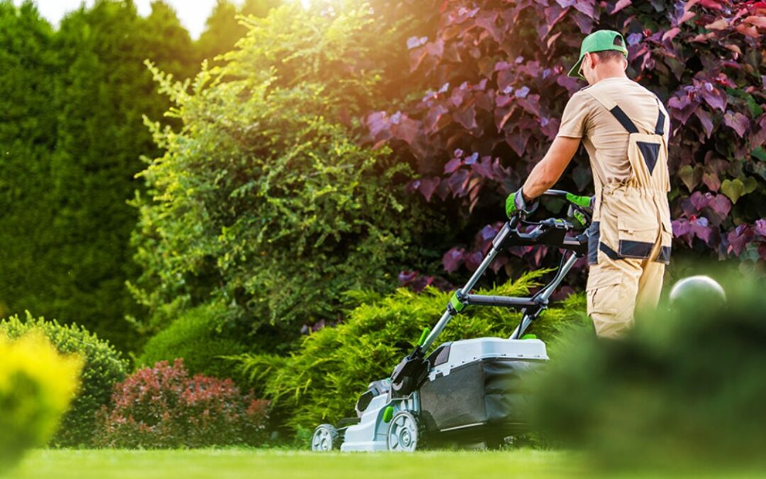 Entretien de jardin à Nancy : guide pratique et conseils