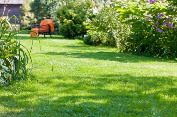 aménagement de jardin