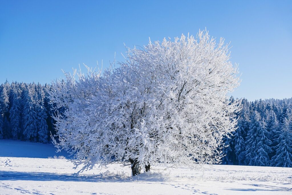 Faut-il prévoir une protection hivernale