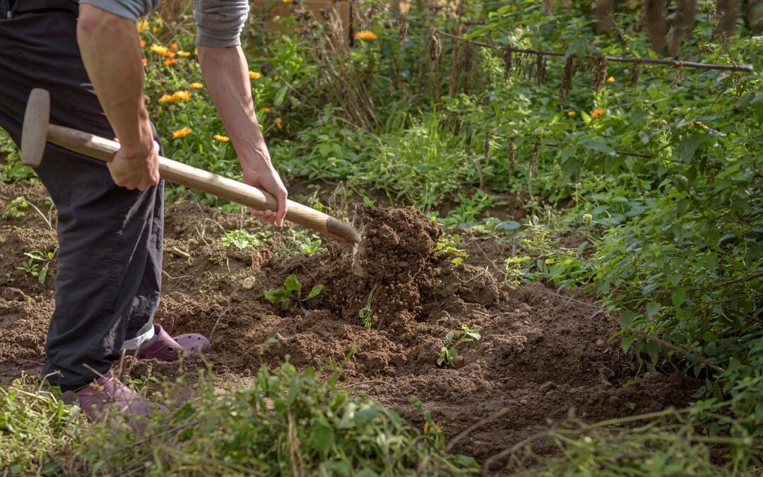 Comment aplanir un terrain bosselé guide pratique étape par étape