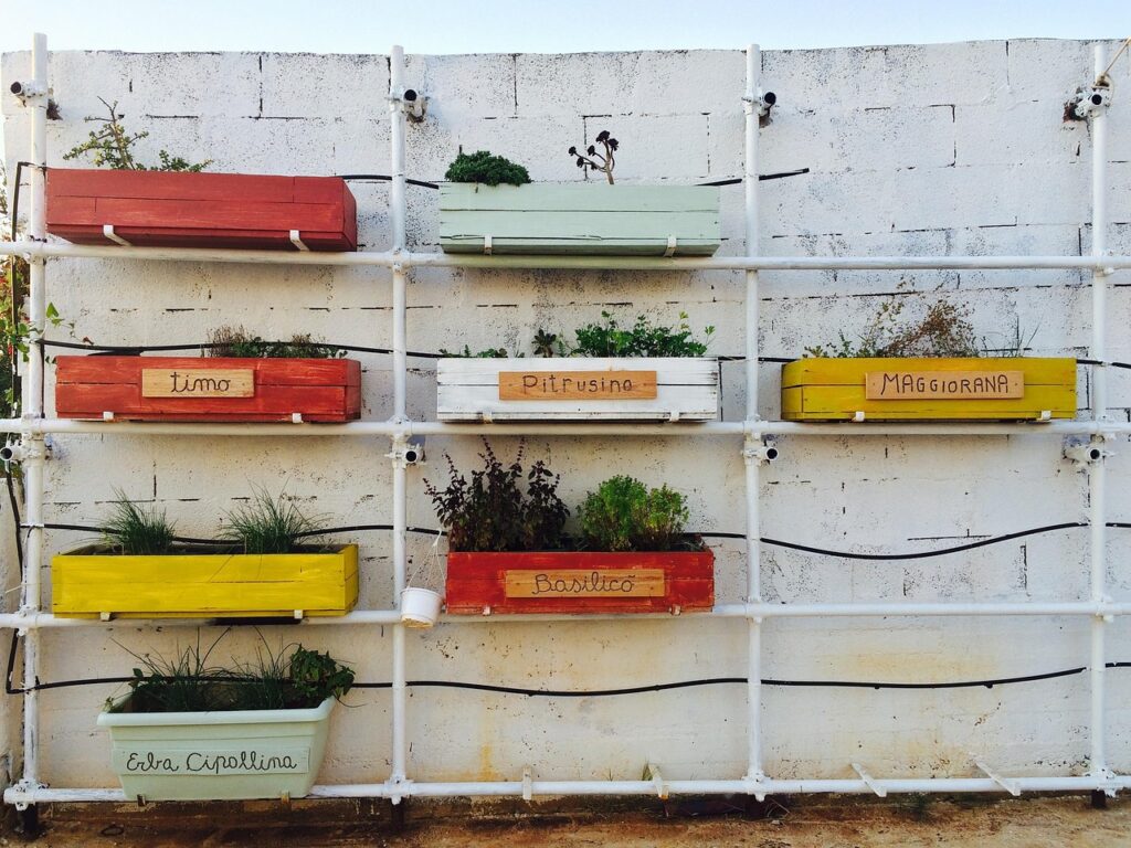 Les étapes clés pour la plantation et l’entretien des plantes aromatiques