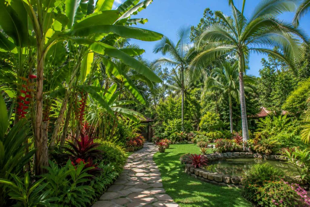 superbe jardin tropical